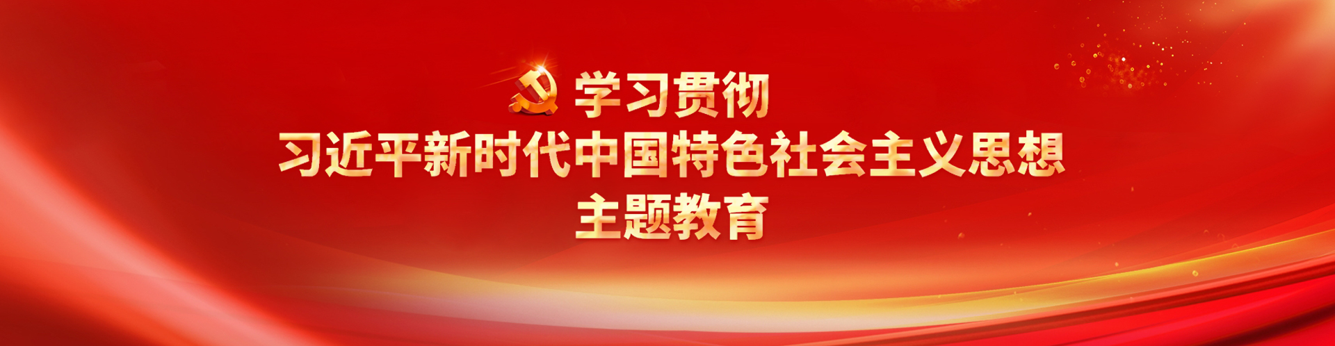 学习贯彻席大大新时代中国特色社会主义思想主题教育