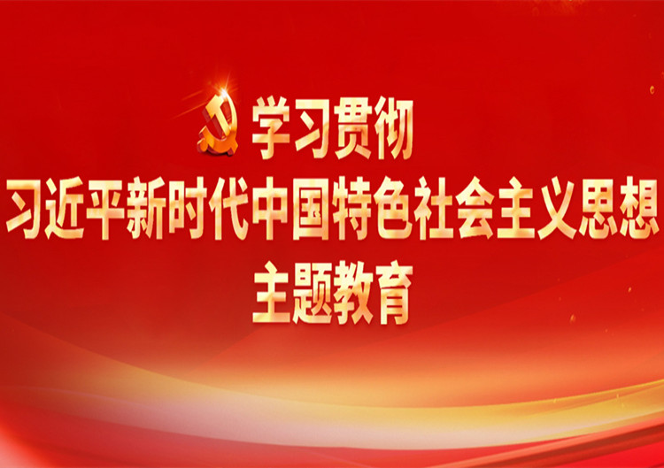 学习贯彻席大大新时代中国特色社会主义思想主题教育